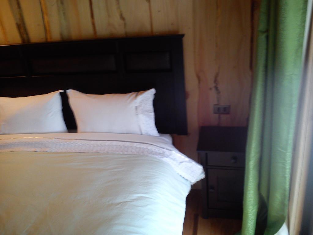 Hostal Los Alamos Нельтуме Номер фото